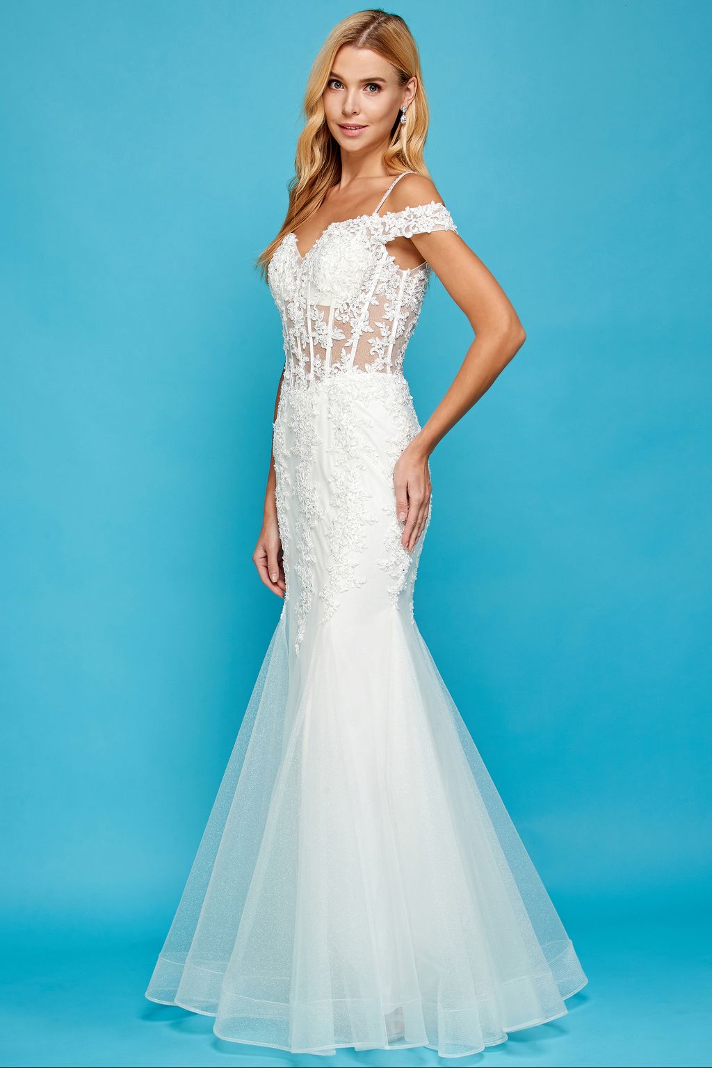 Dress 11763