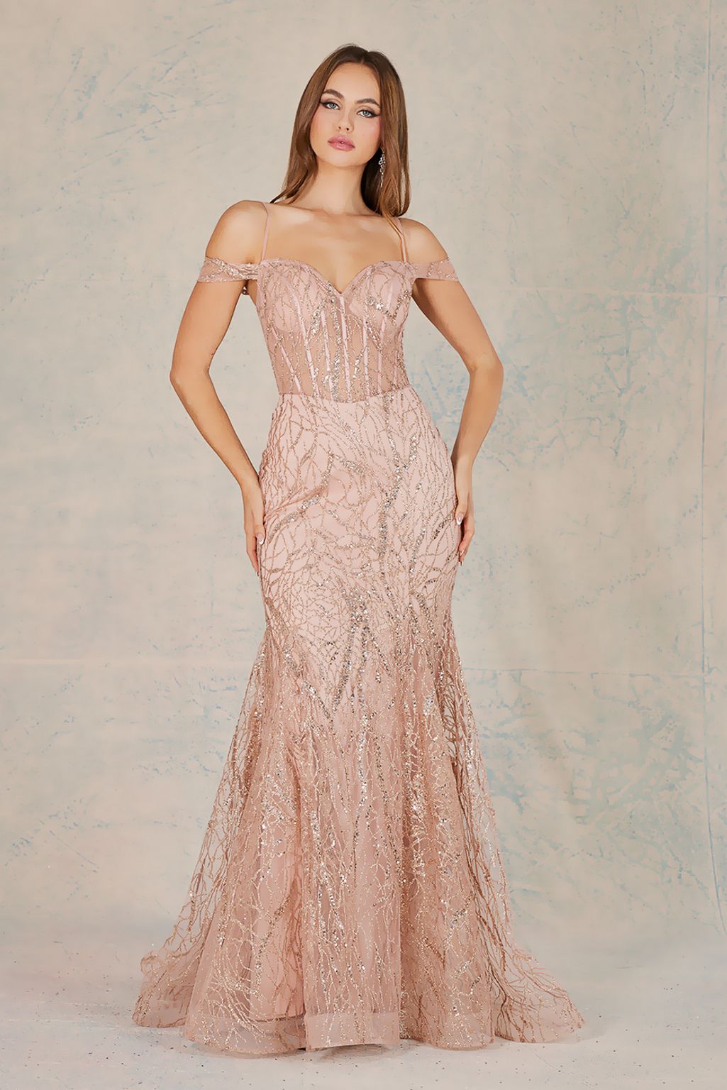 Dress 12193