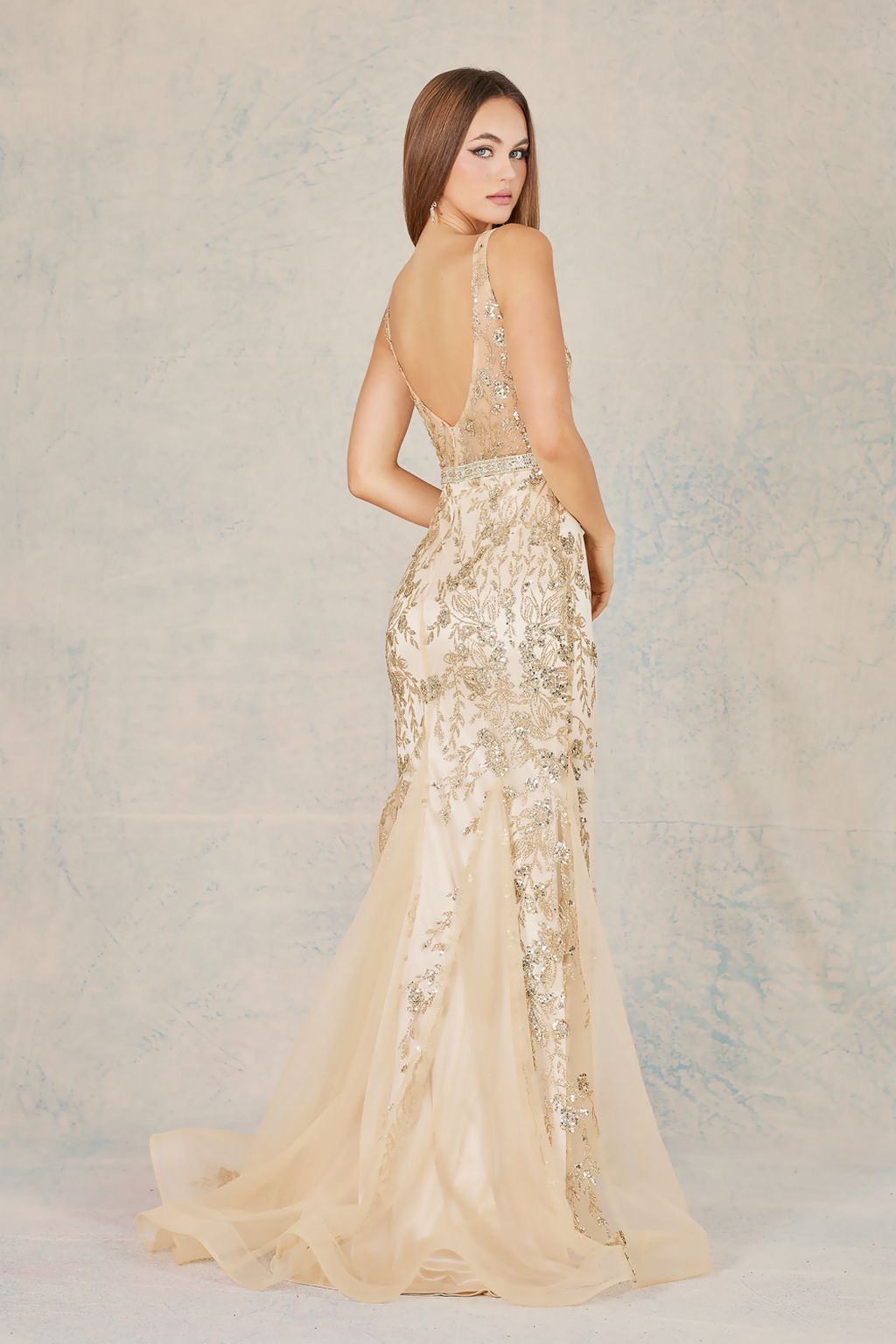 Dress 13134