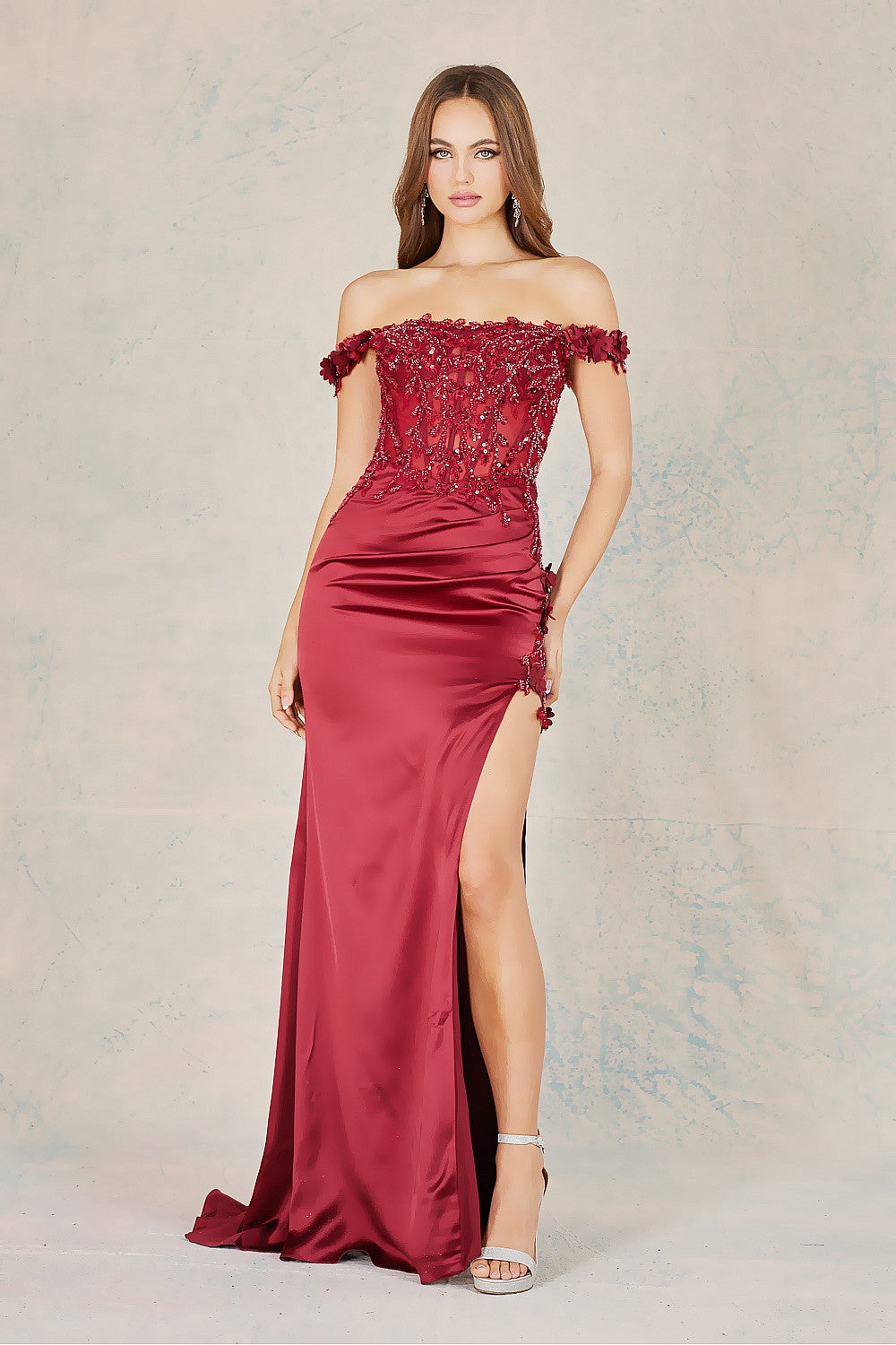 Dress 13255