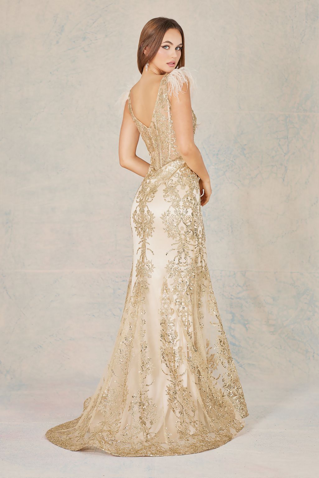 Dress 13542