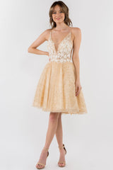 Dress 241