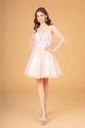 Dress 801
