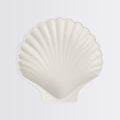 Bamboo Natural Shell Plates, Set of 6